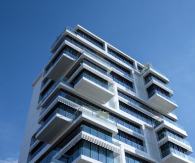 pexels-timur-saglambilek-87223 pexels-timur-saglambilek-87223